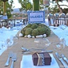 A Safarilicious Baptism 